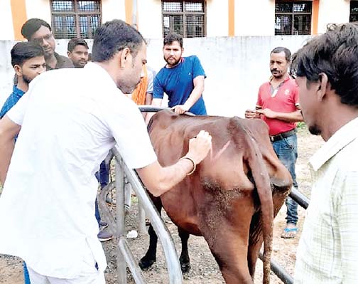 वैक्सीनेशन