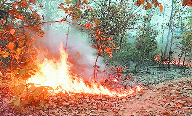 सर्वाधिक आगजनी